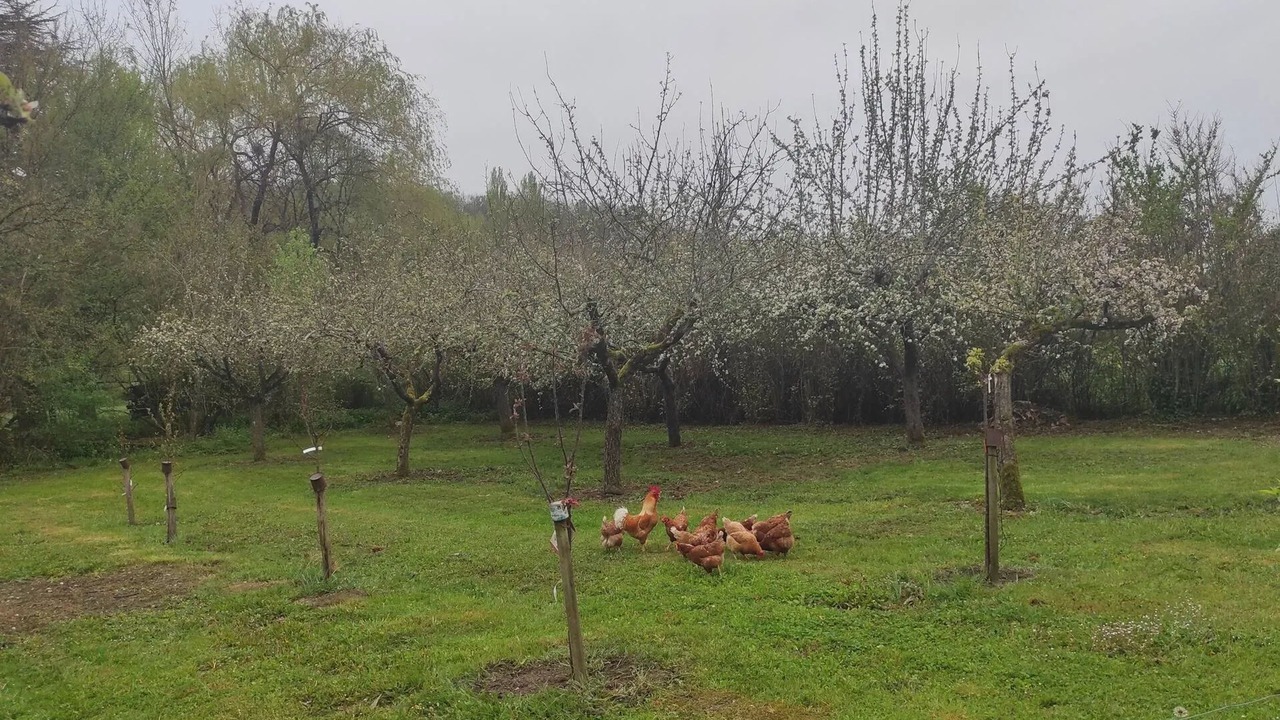 Photo of Others in Montaigu-de-Quercy