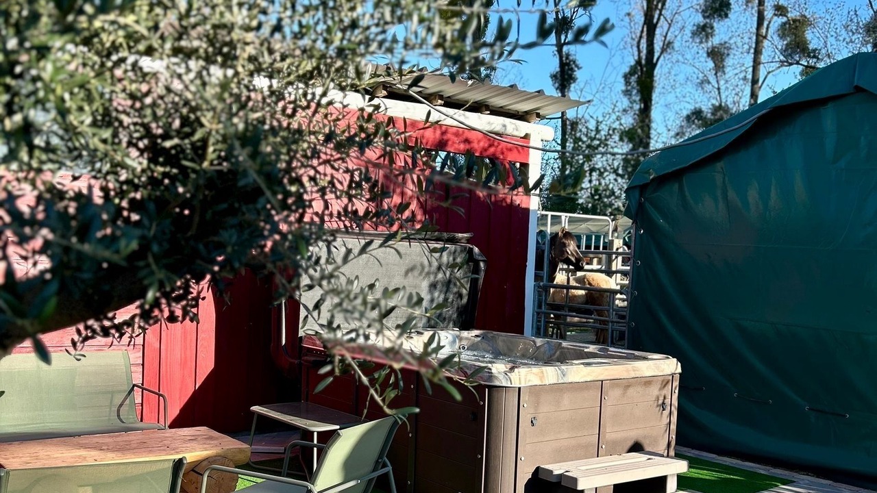 Photo of Outdoor in Bischoffsheim
