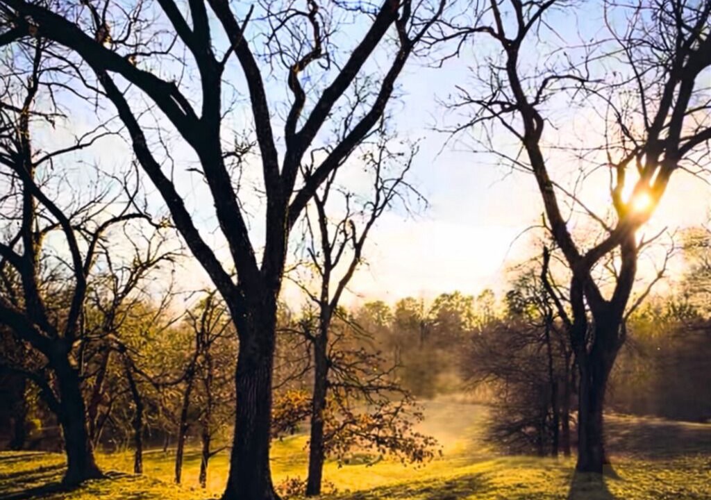 Photo of Others in Stillwater