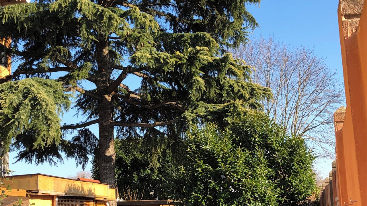 Photo of Outdoor in Villejuif