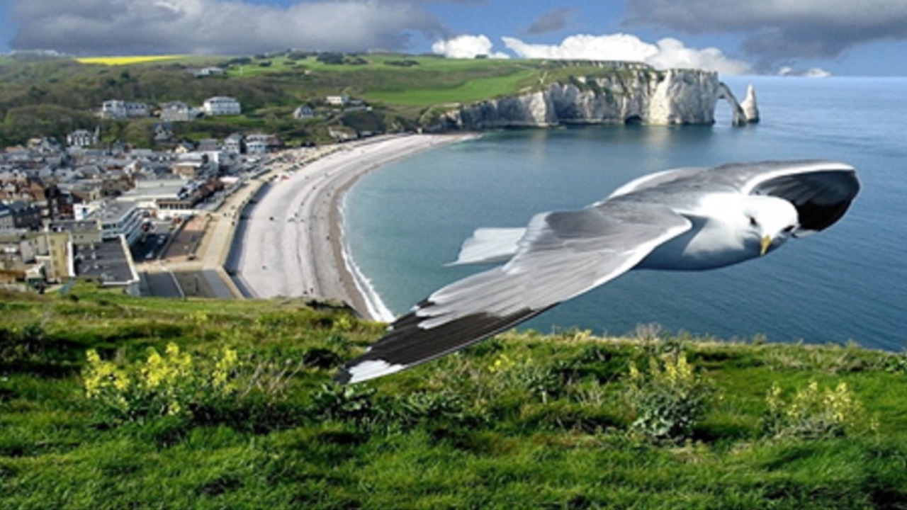 Photo of Others in Etretat