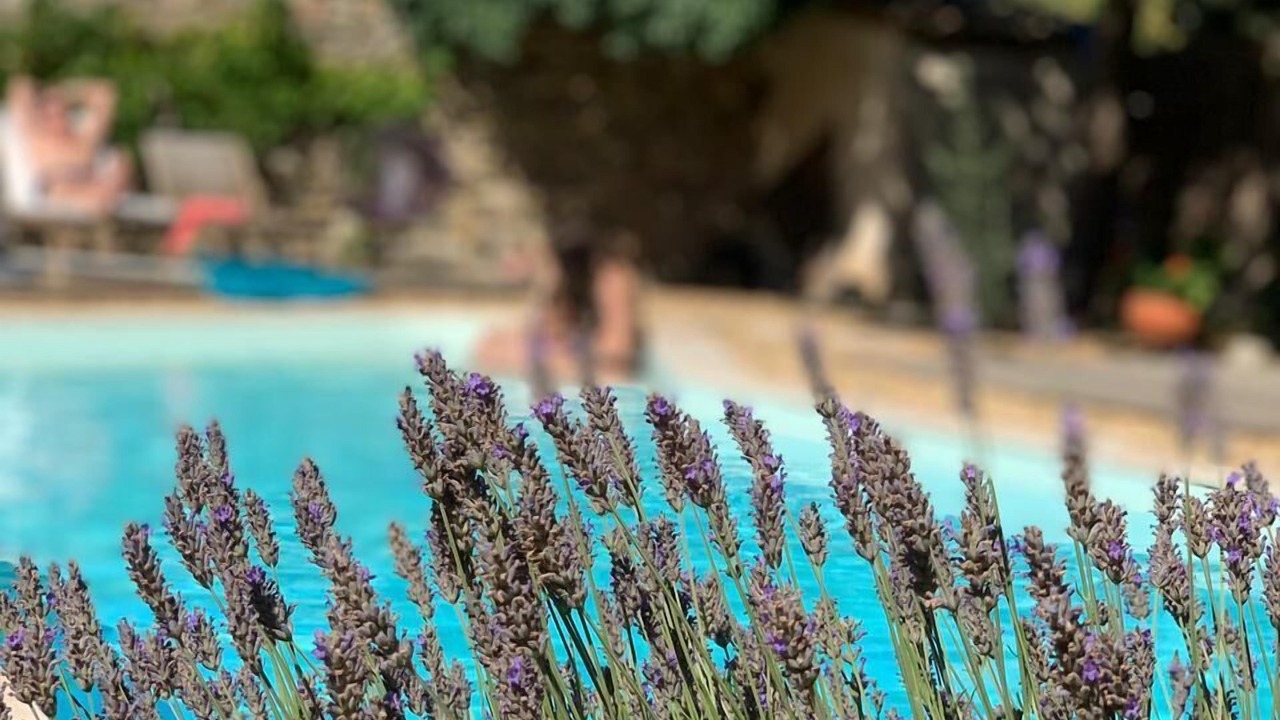 Photo of Outdoor in Le Somail