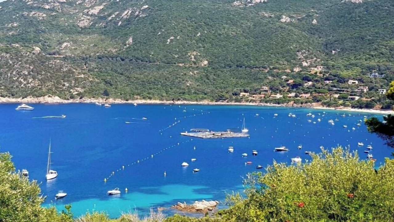 Photo of Others in Belvedere-Campomoro