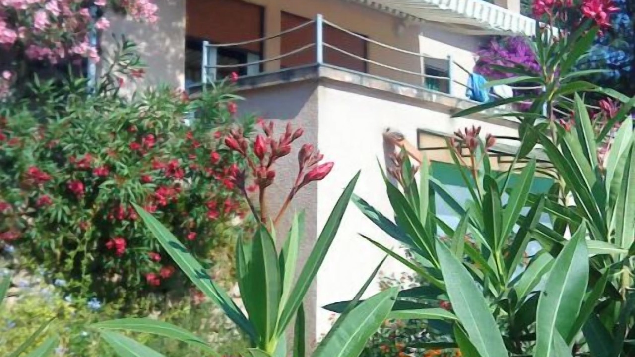 Photo of Outdoor in Belvedere-Campomoro