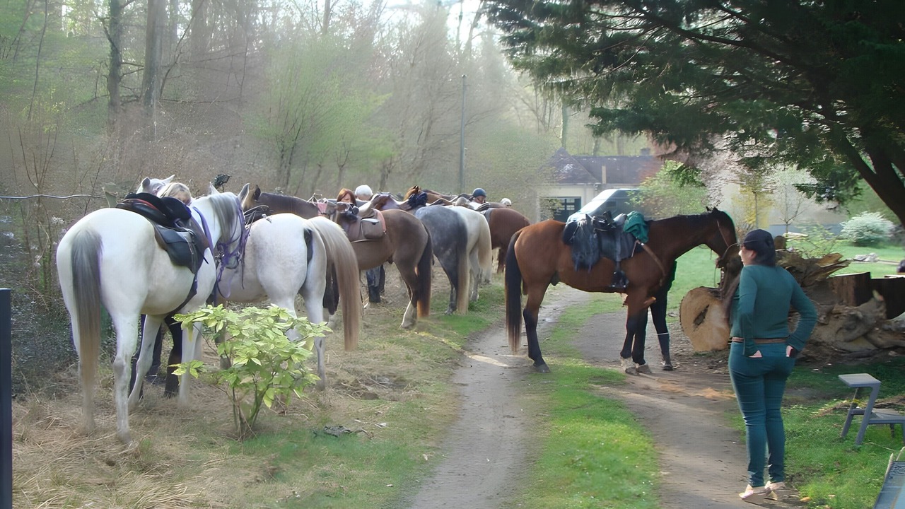 Photo of Others in Saint-Jean-aux-Bois