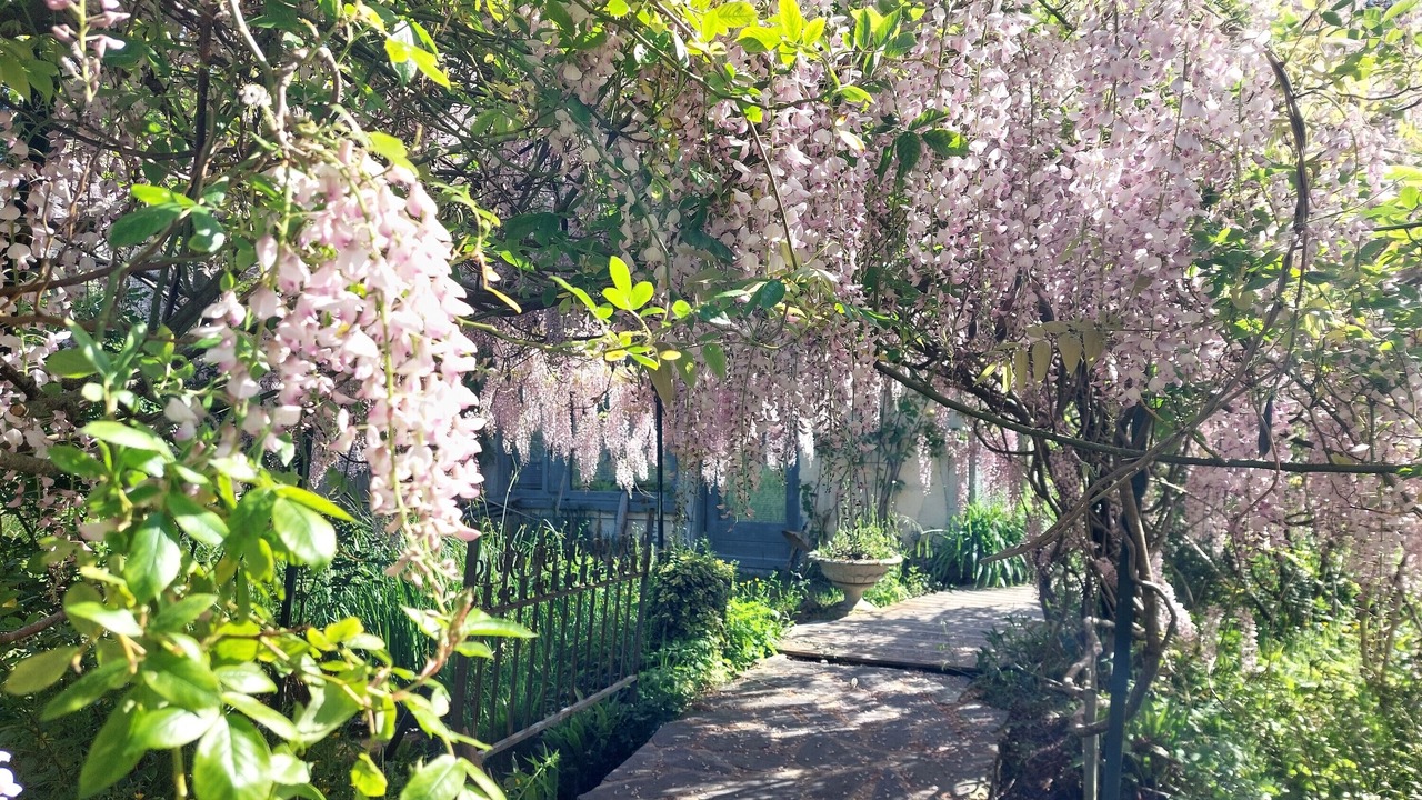 Photo of Outdoor in Saint-Jean-aux-Bois