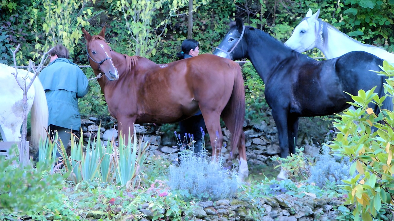 Photo of Others in Saint-Jean-aux-Bois