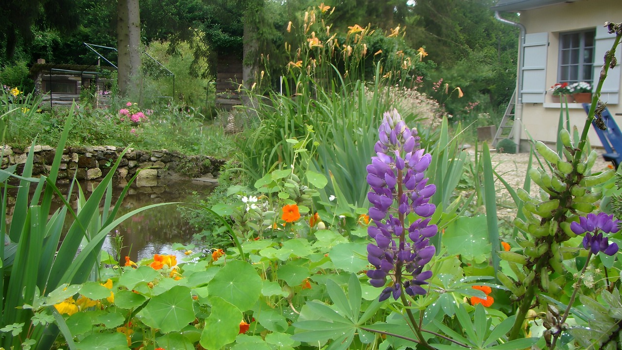 Photo of Outdoor in Saint-Jean-aux-Bois