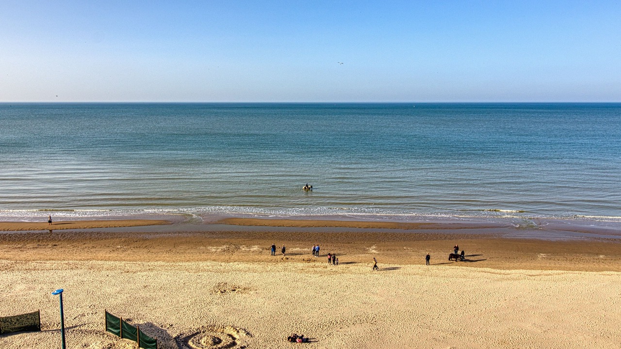 Photo of Others in Bray-Dunes