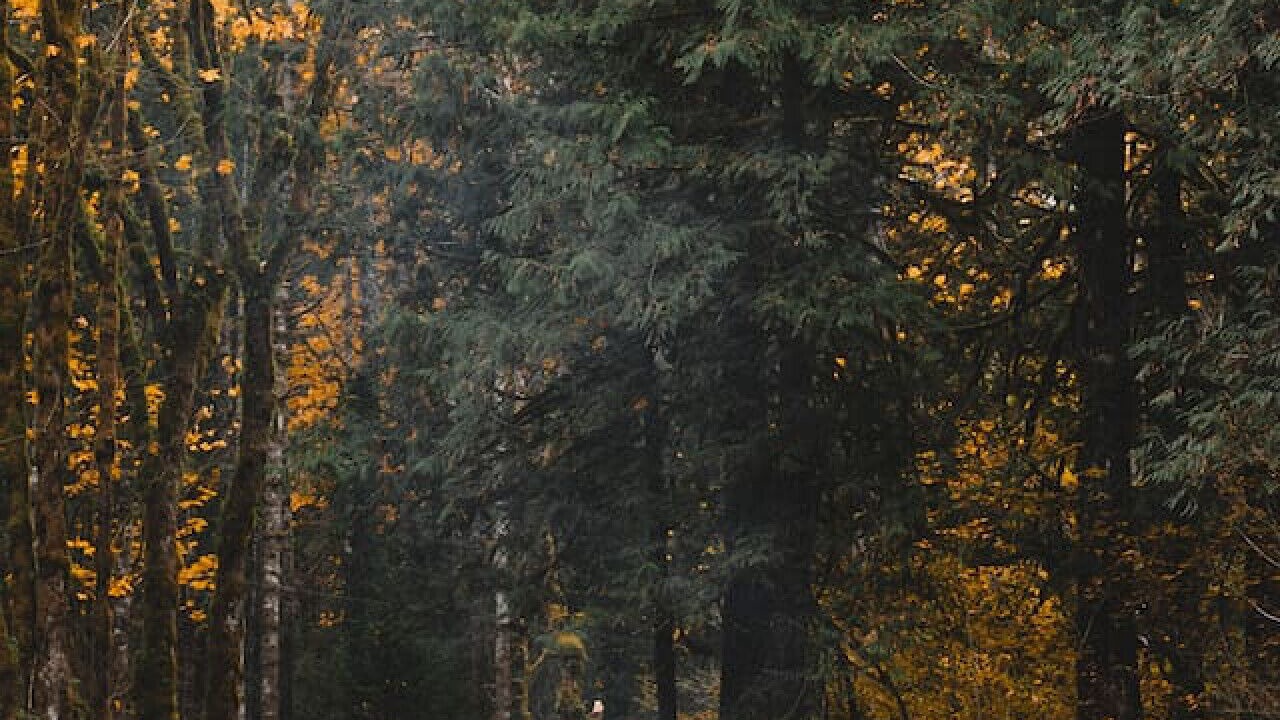 Photo of Outdoor in Index