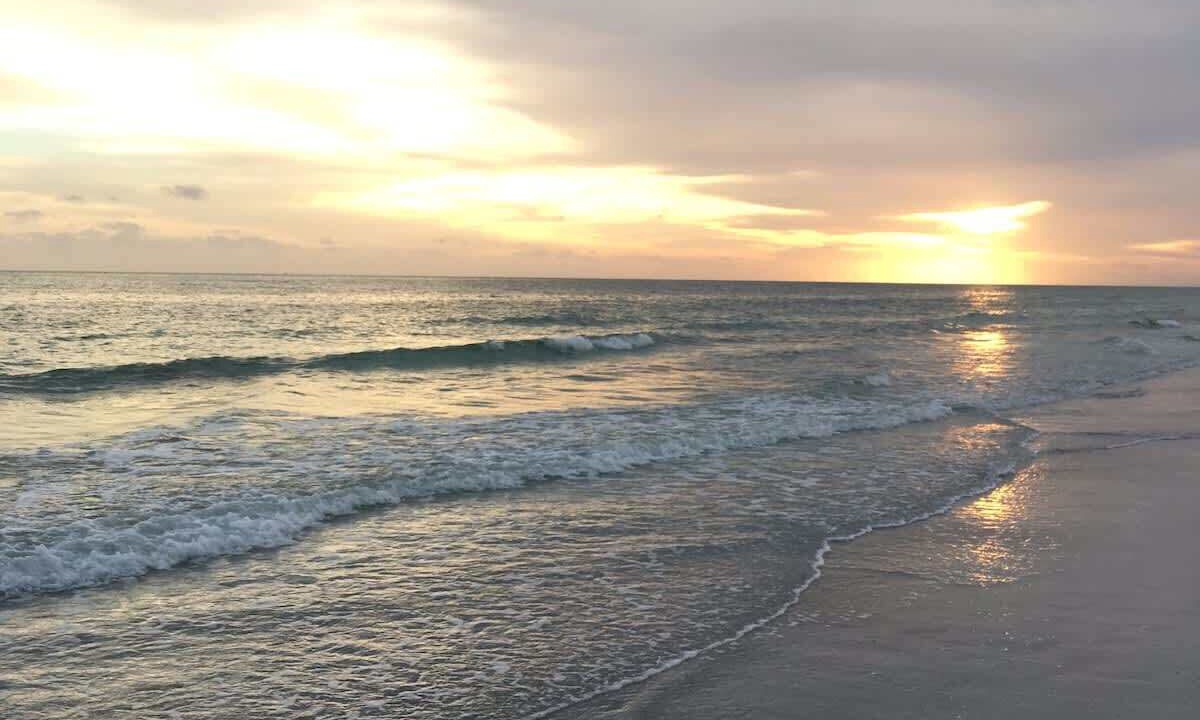 Photo of Others in Bradenton