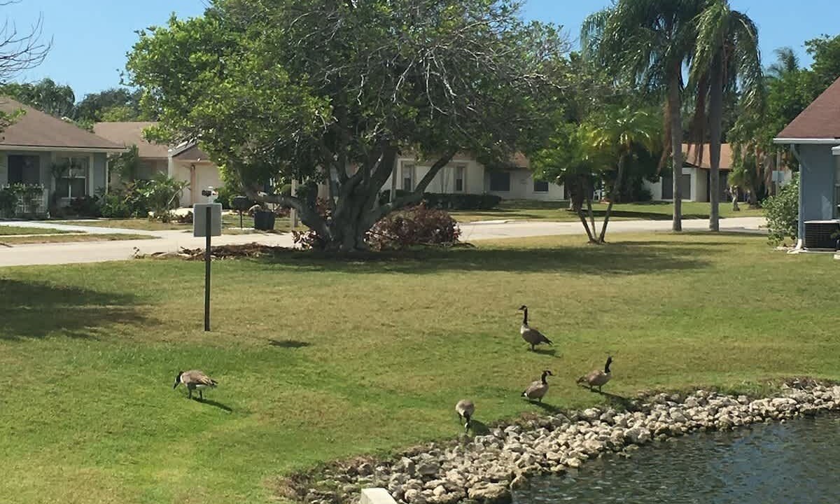 Photo of Others in Bradenton