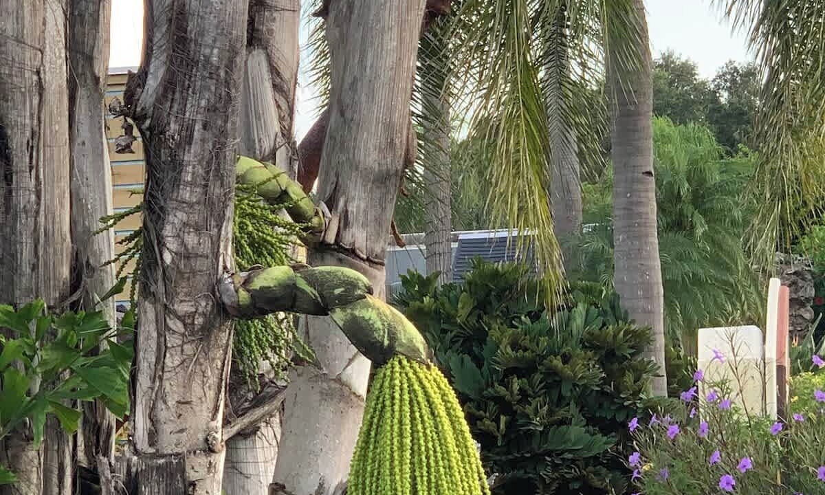 Photo of Outdoor in Ruskin