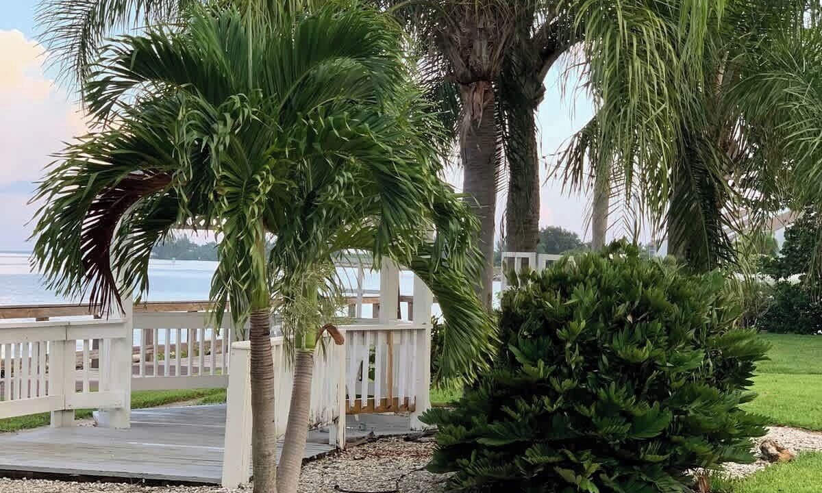 Photo of Outdoor in Ruskin