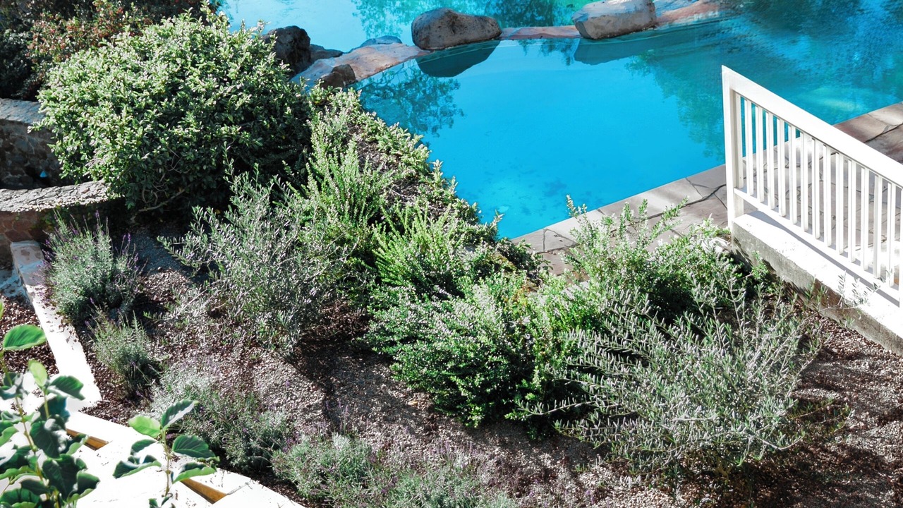 Photo of Outdoor in Forestville