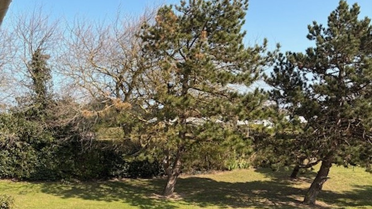 Photo of Outdoor in Merville-Franceville-Plage