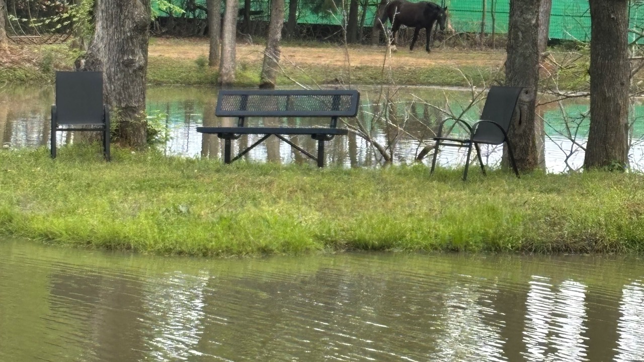 Photo of Others in Mansfield