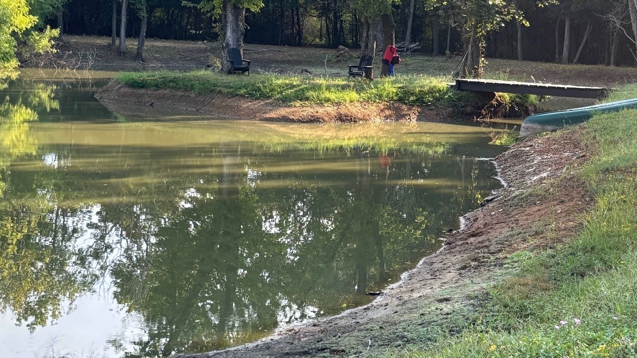 Photo of Others in Mansfield