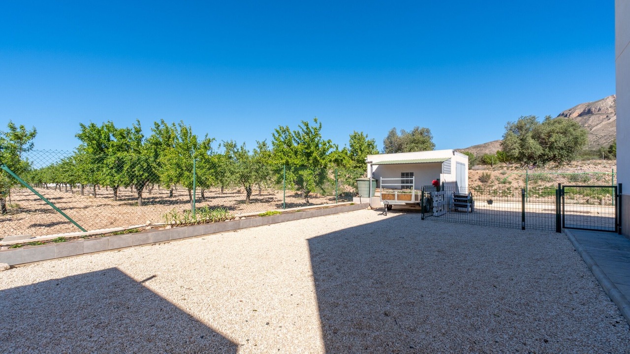 Photo of Outdoor in Abanilla