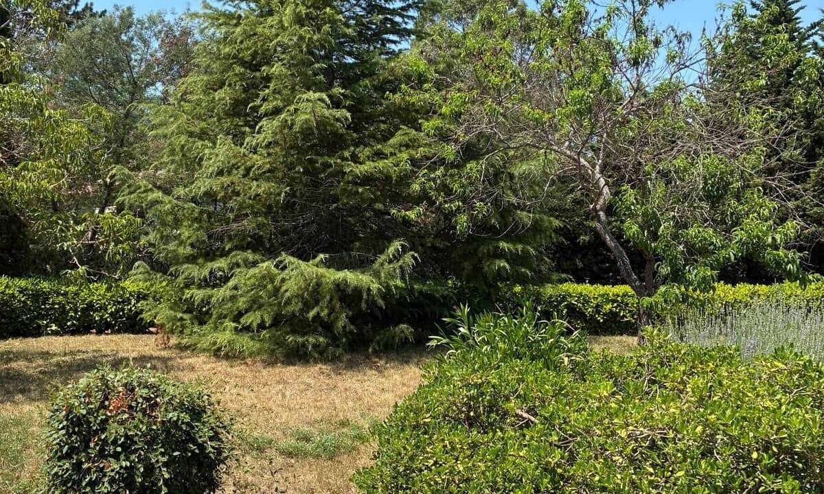 Photo of Outdoor in Quillan