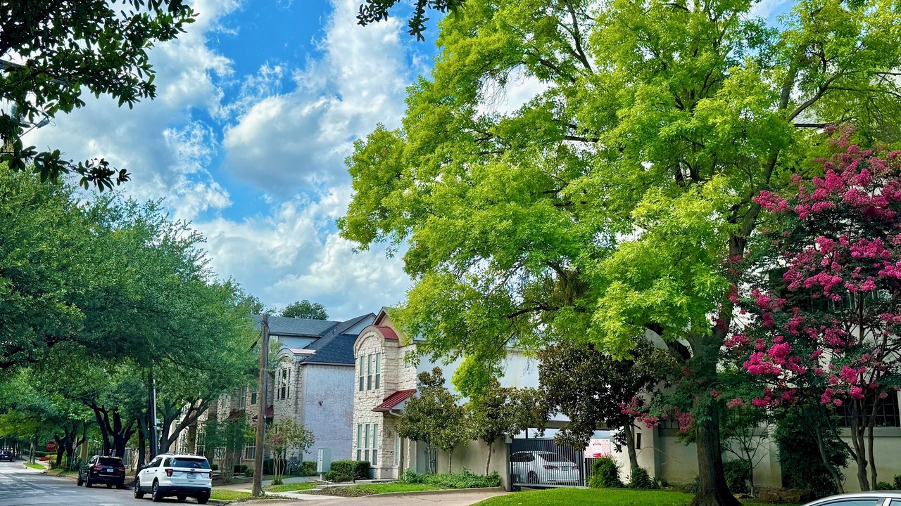 Photo of Others in Oak Lawn