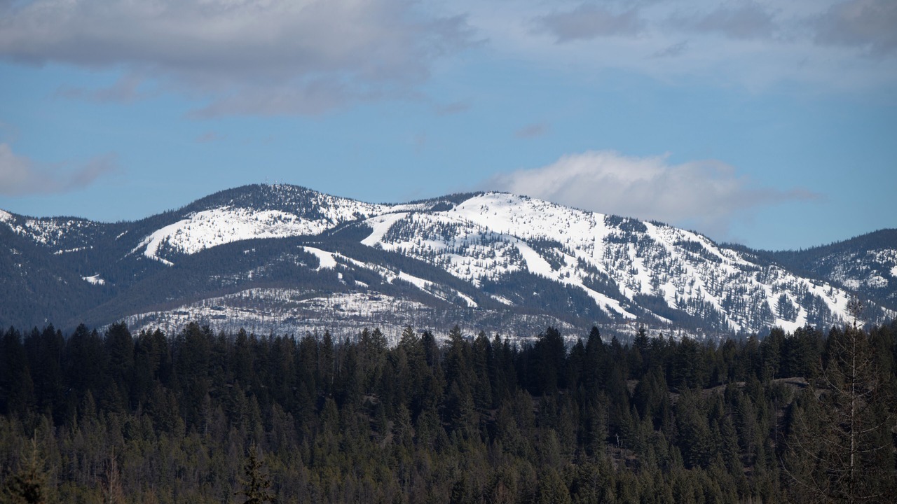 Photo of Others in Whitefish