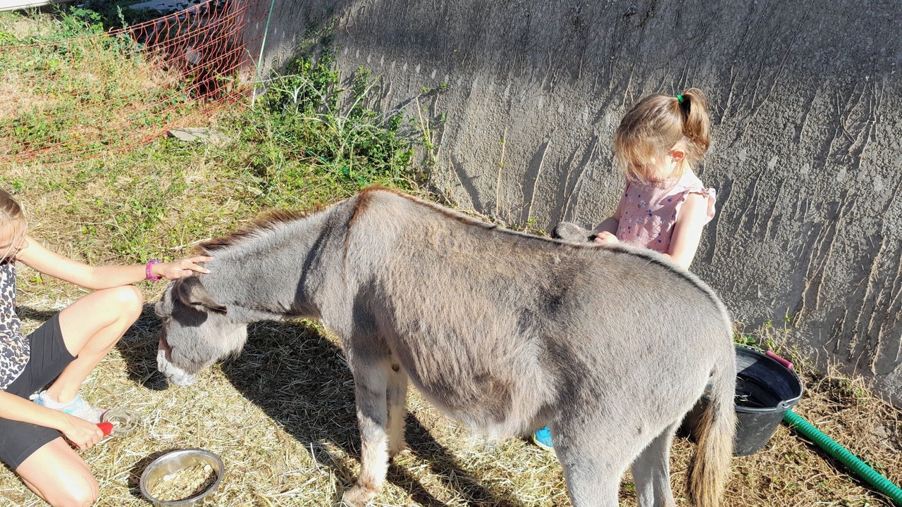 Photo of Others in Pont-Saint-Esprit