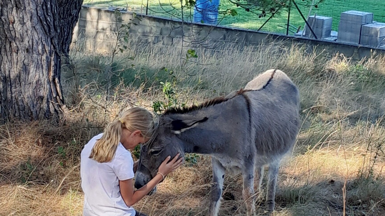 Photo of Others in Pont-Saint-Esprit