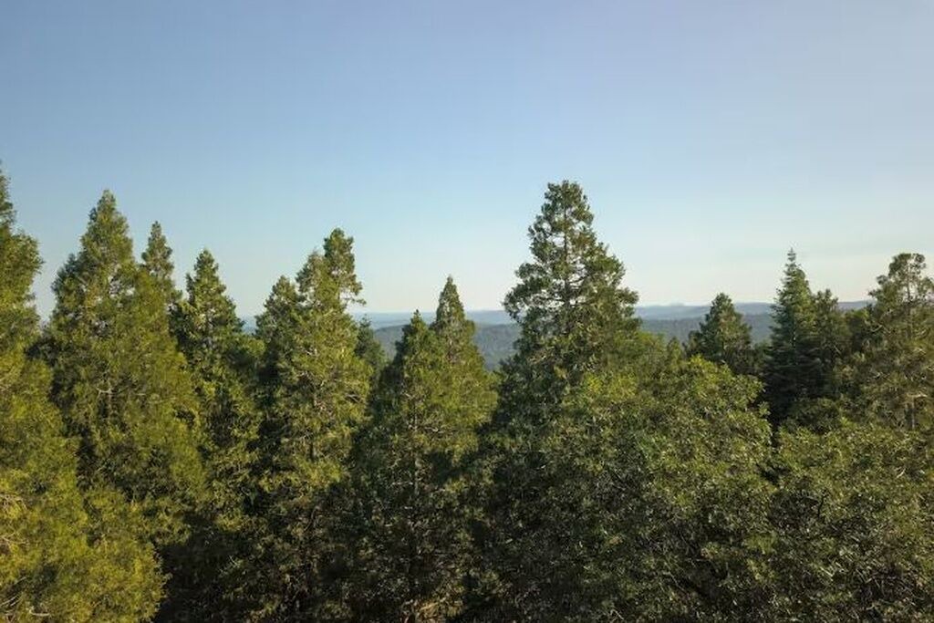 Photo of Others in Nevada City