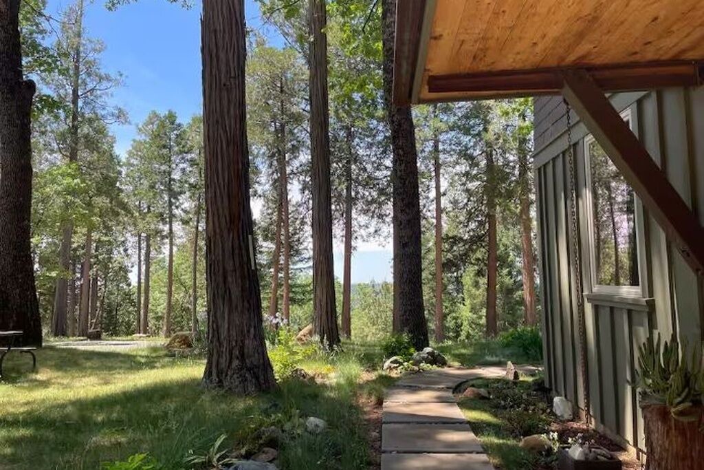 Photo of Outdoor in Nevada City