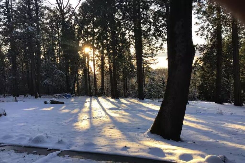 Photo of Others in Nevada City