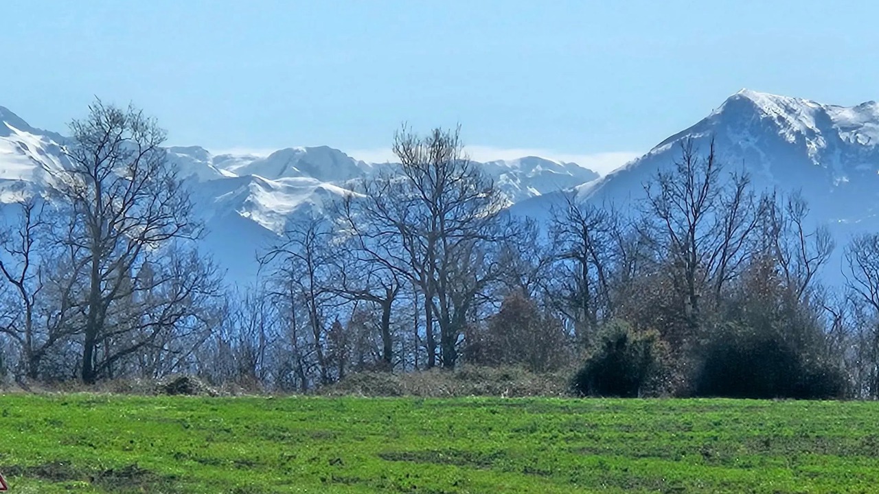 Photo of Others in Cardeilhac