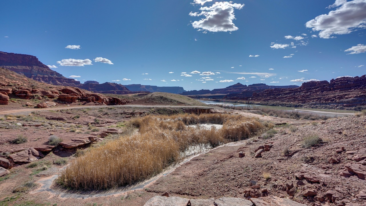 Photo of Others in Moab
