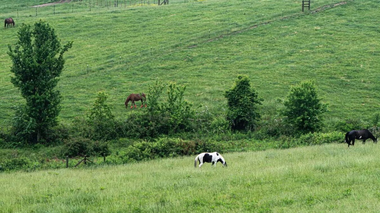 Photo of Others in Jamestown