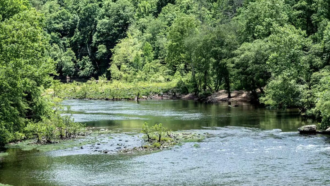 Photo of Others in Jamestown
