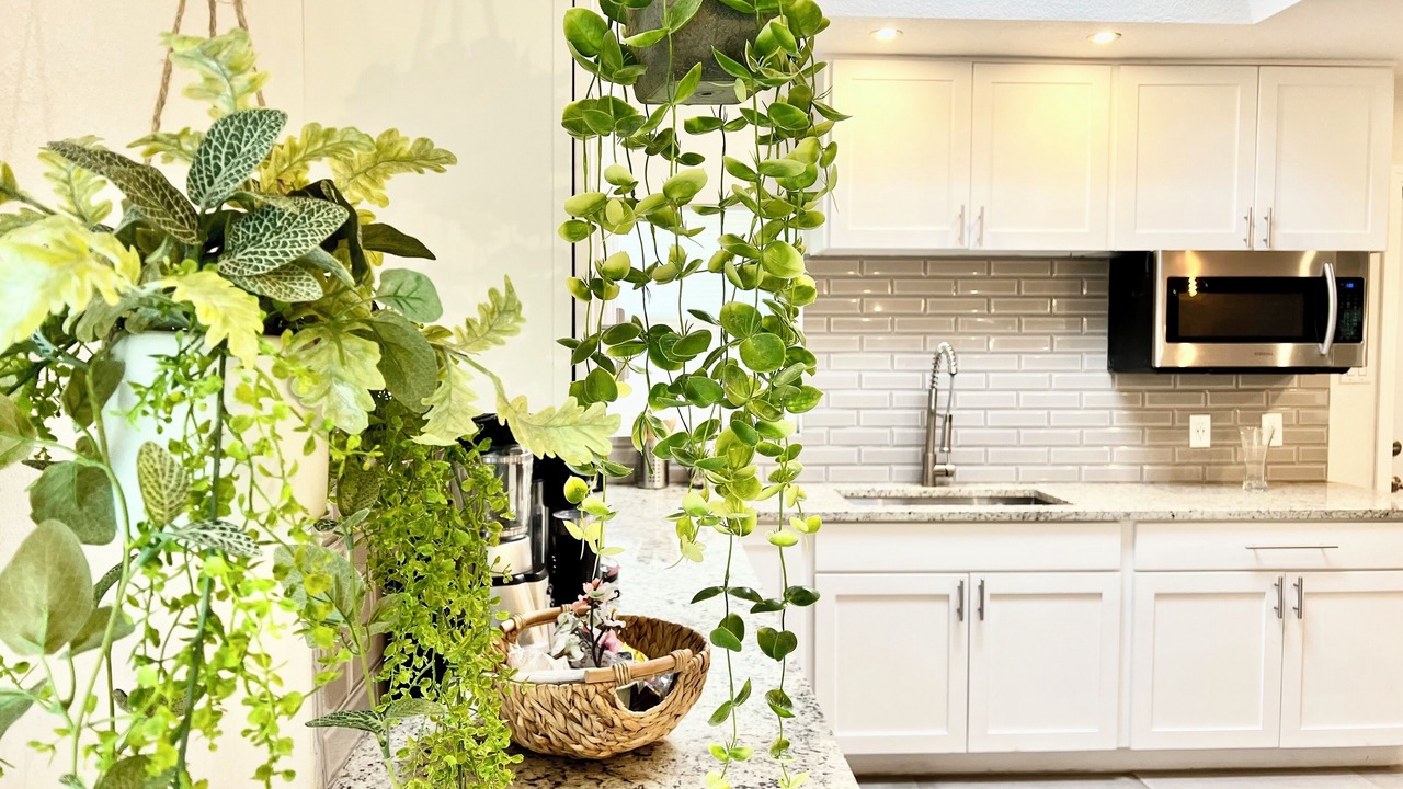 Photo of Kitchen in North San Antonio - SAT