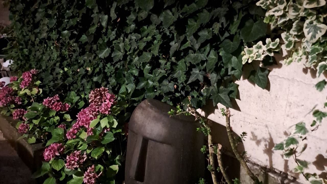 Photo of Outdoor in Pont-Sainte-Maxence