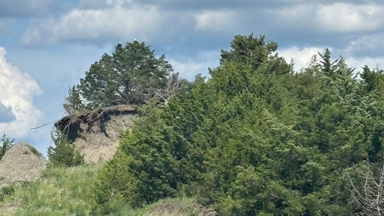 Photo of Others in Lake Andes