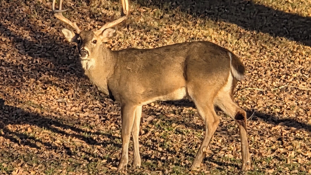 Photo of Others in Ransom Canyon