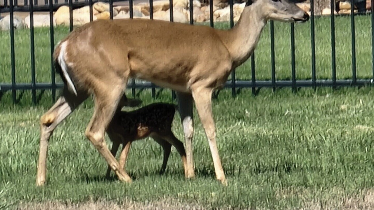 Photo of Others in Ransom Canyon