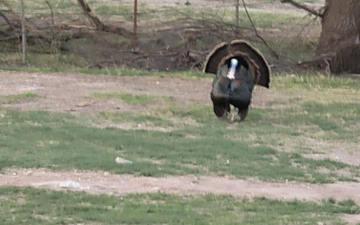 Photo of Others in Ransom Canyon