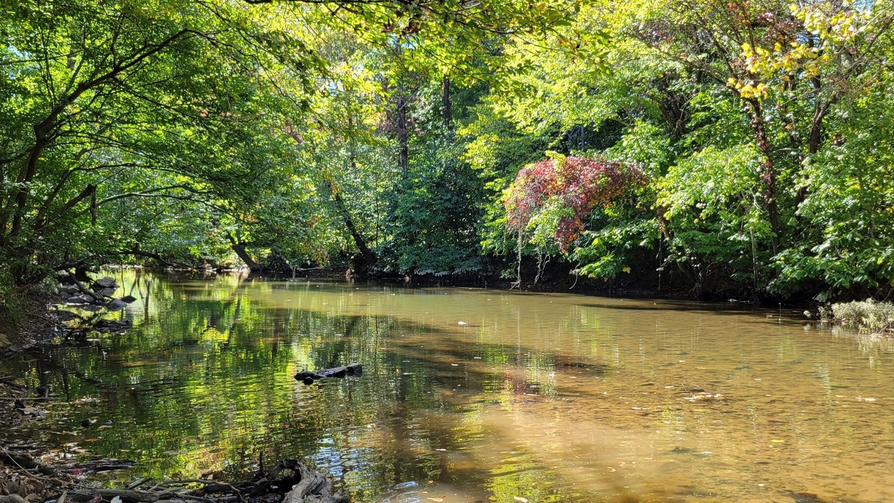 Photo of Others in Doe Run