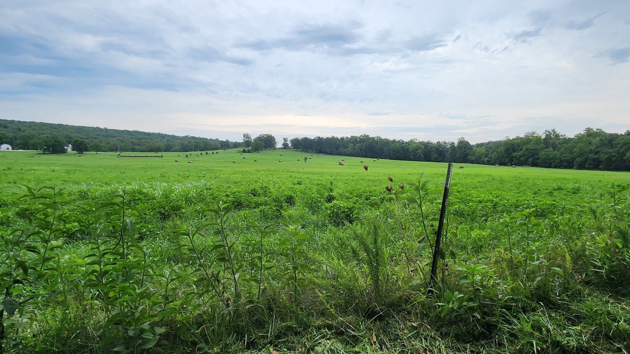 Photo of Others in Doe Run