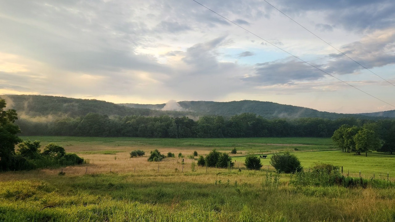 Photo of Others in Doe Run