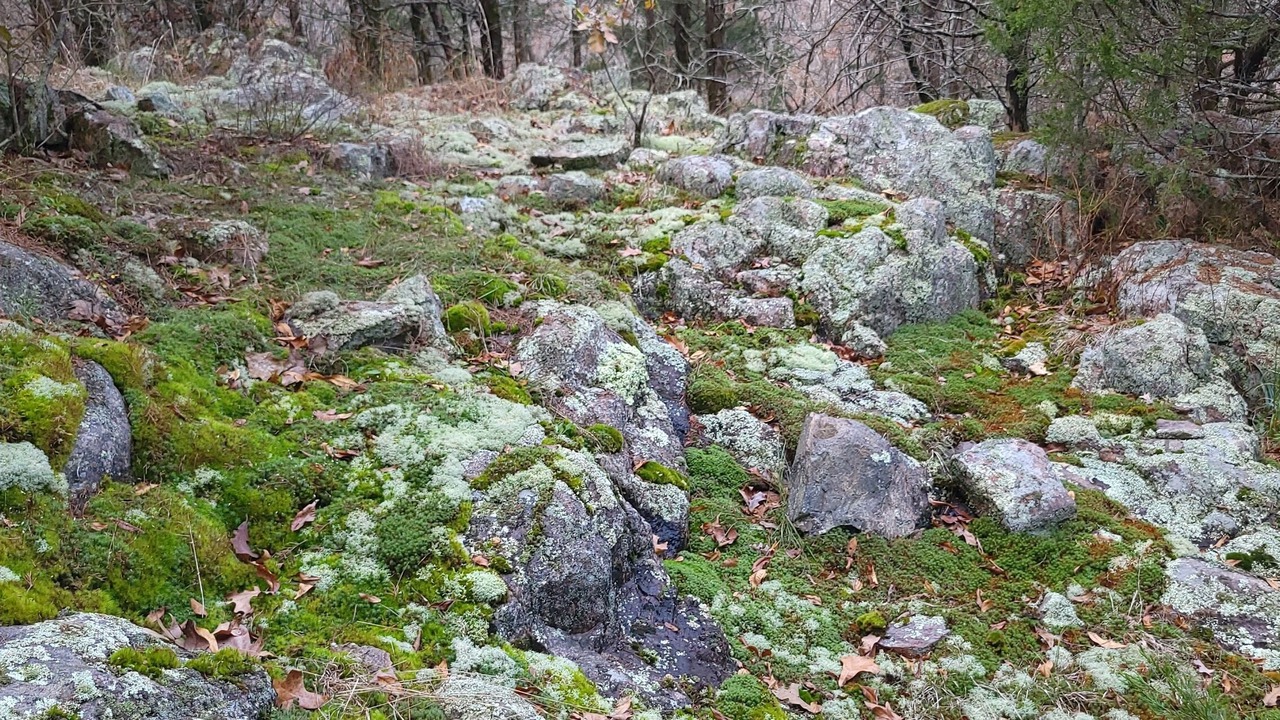 Photo of Others in Doe Run