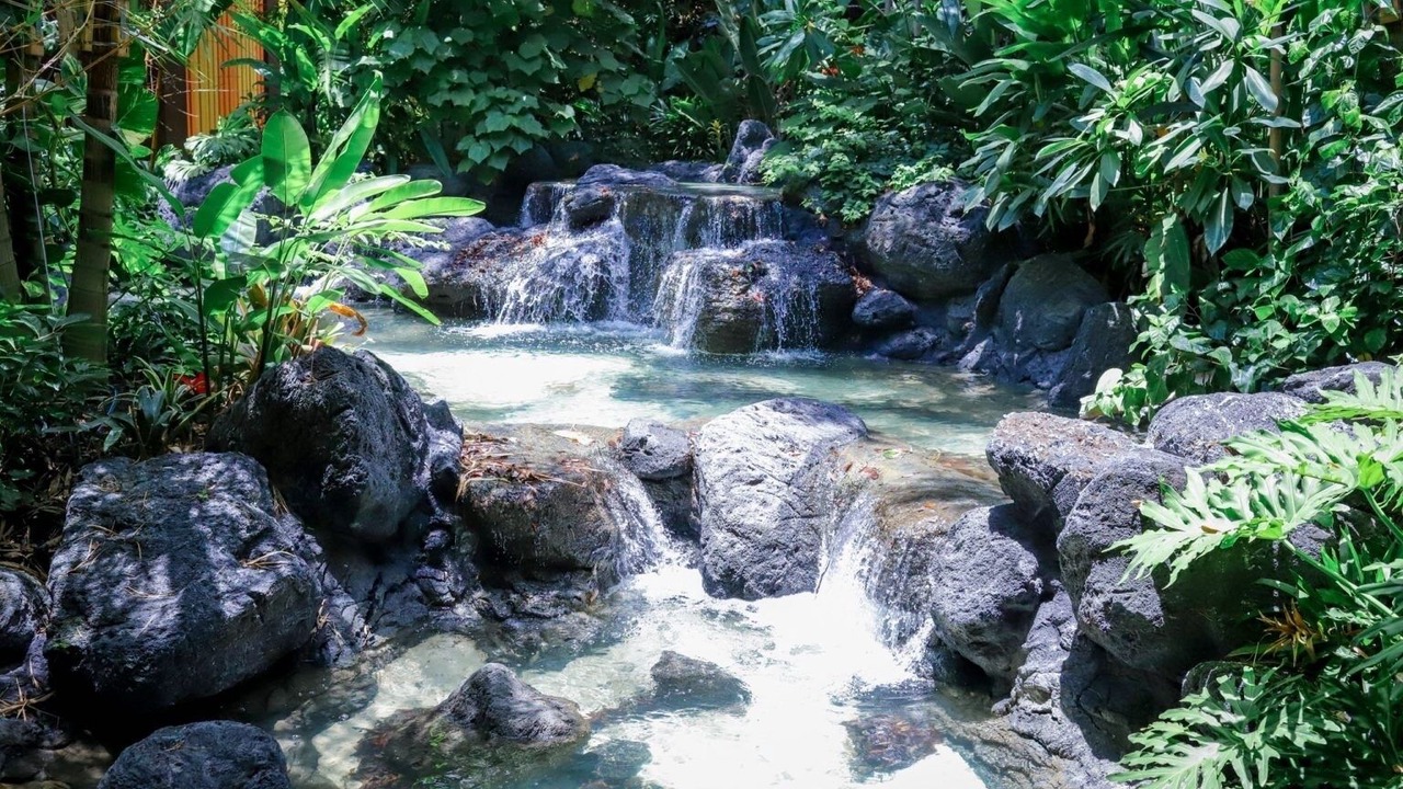 Photo of Outdoor in Bay Lake