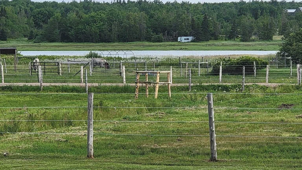Photo of Others in Beaubassin East