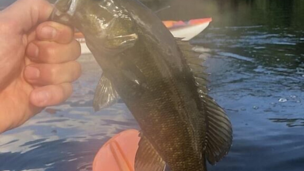 Photo of Others in Matamoras