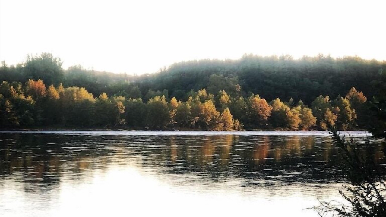 Photo of Others in Matamoras