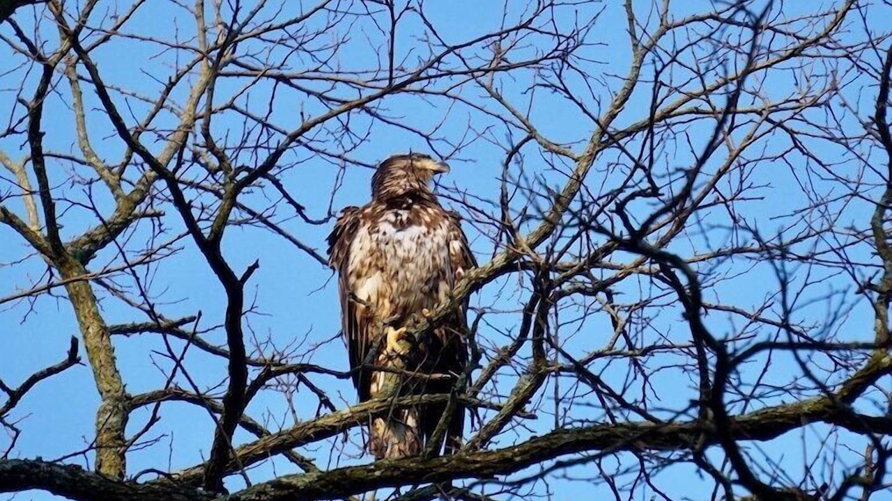 Photo of Others in Matamoras